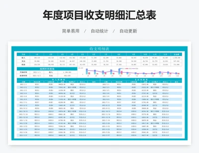年度项目收支明细汇总表