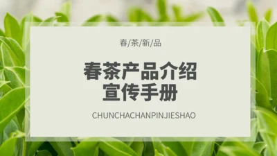 茶业店春茶产品介绍宣传手册通用PPT模板