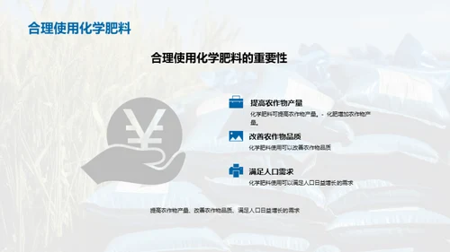 农业可持续发展与化学肥料