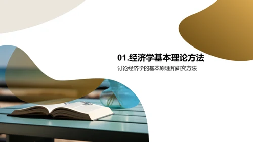 探索经济学新视角