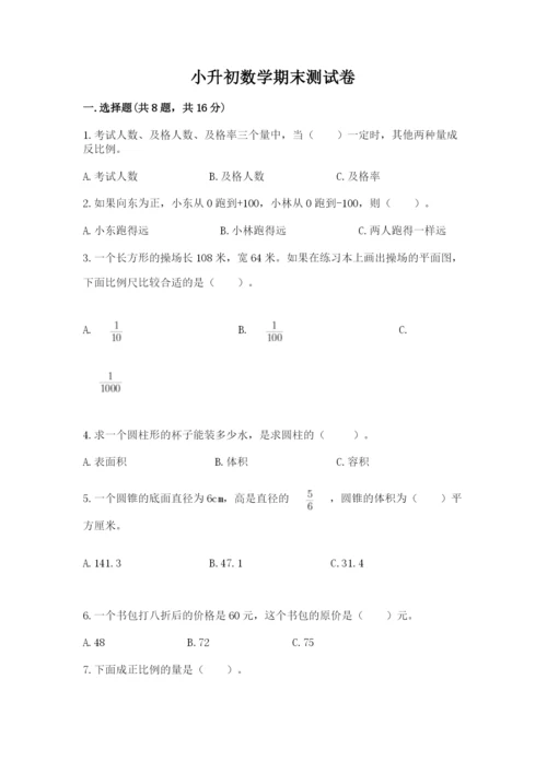 小升初数学期末测试卷精品（实用）.docx