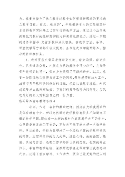 指导培养青年教师总结.docx