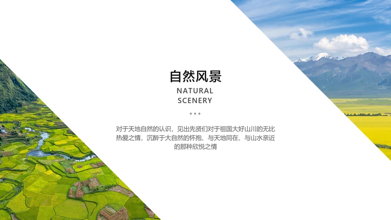简约风通用二图1项PPT图文页