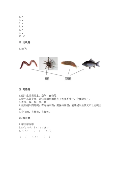 教科版一年级下册科学期末测试卷及参考答案（巩固）.docx