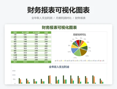 财务报表可视化图表