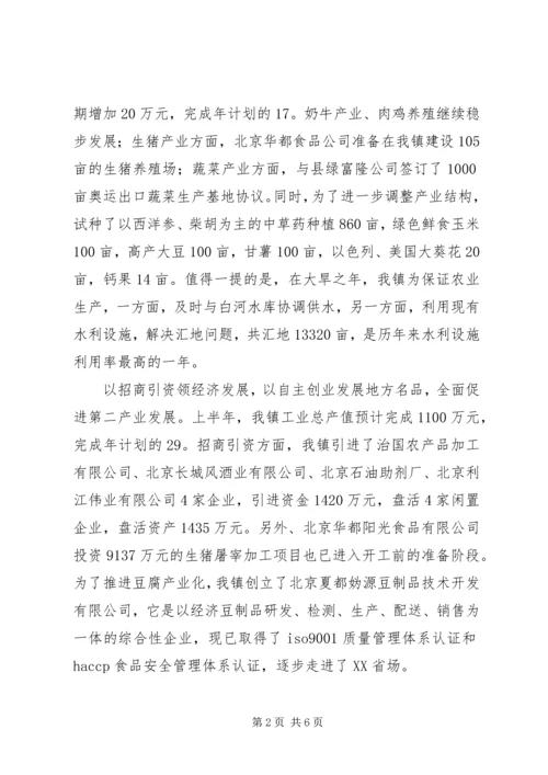 乡镇政府上半年工作总结.docx