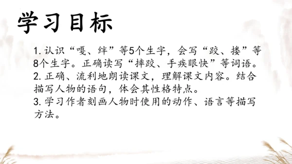 13摔跤   课件