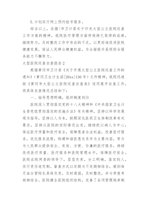 大型医院巡查自查报告.docx
