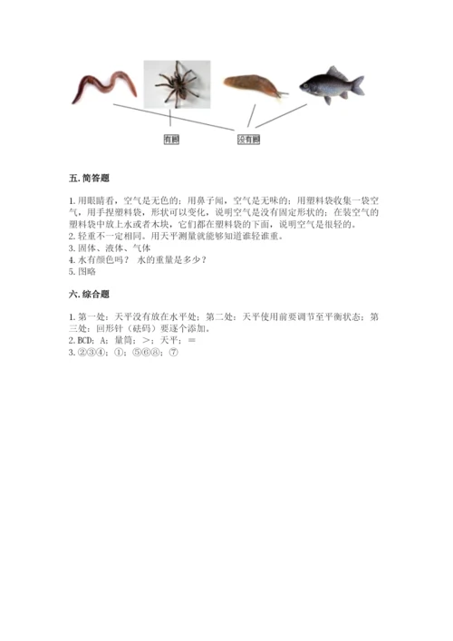 教科版一年级下册科学期末测试卷（易错题）.docx