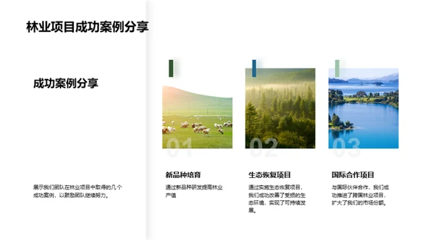 林业进步路