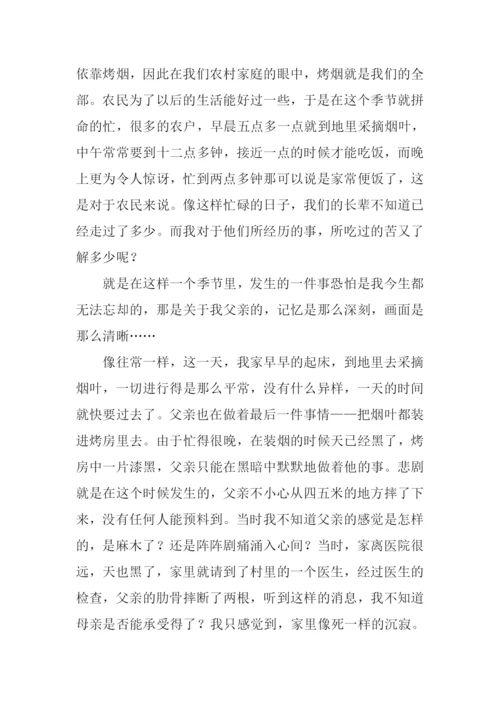 有关父亲的文章.docx