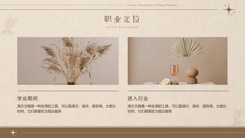 美拉德色大学生职业生涯规划PPT模板
