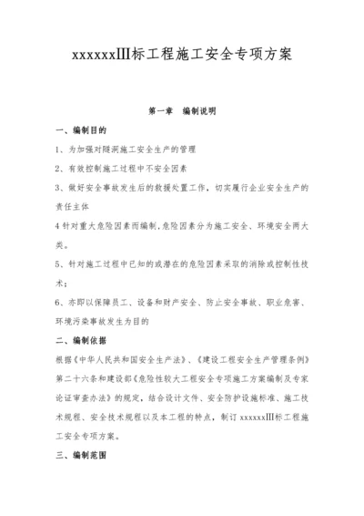 水利工程安全施工专项方案(隧洞工程).docx