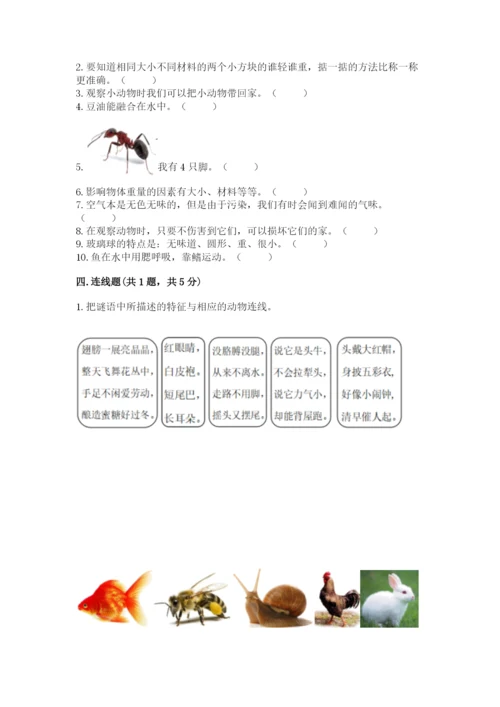 教科版一年级下册科学期末测试卷及参考答案（轻巧夺冠）.docx