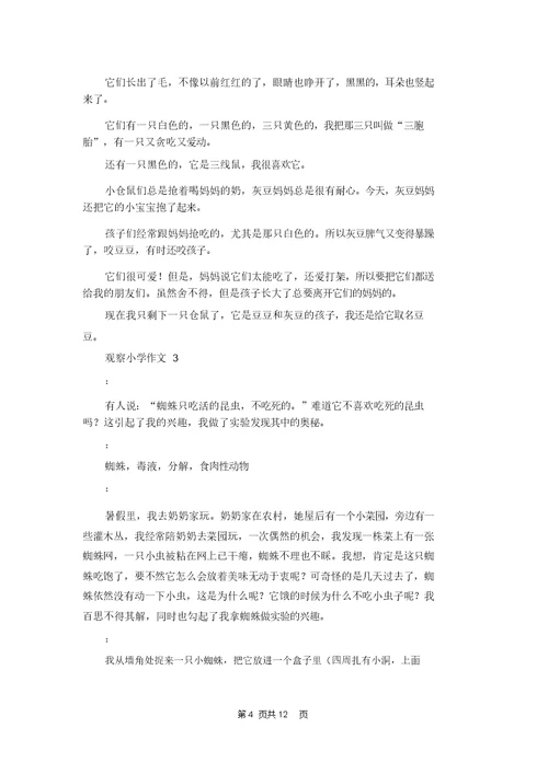观察小学作文7篇