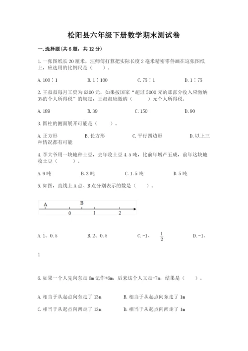 松阳县六年级下册数学期末测试卷完整答案.docx