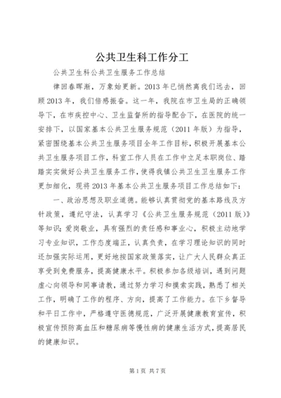 公共卫生科工作分工 (3).docx