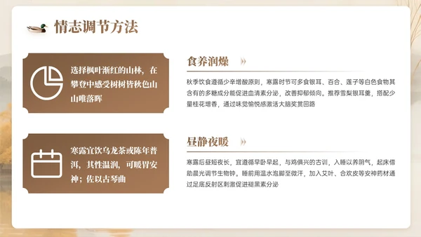 棕色系中国风寒露节气知识PPT模板