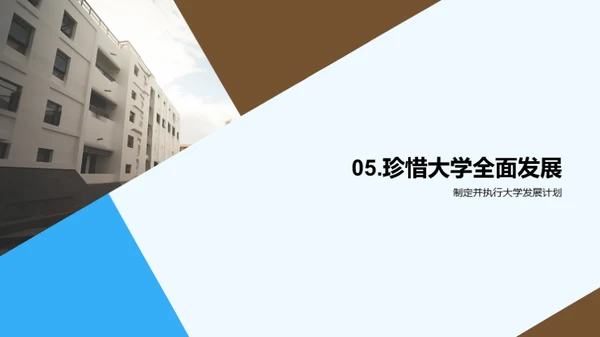 大学生活的掌舵者