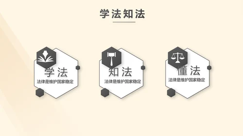 深入学习宣传法治宪法法律行政法规规章PPT