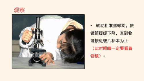 2.1.1练习使用显微镜课件2023--2024学年人教版生物七年级上册(共32张PPT)