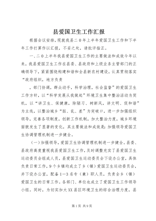 县爱国卫生工作汇报 (2).docx