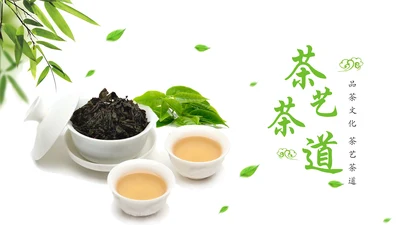 唯美小清新茶园文化茶艺茶道PPT模板