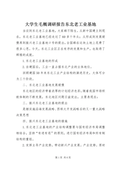 大学生毛概调研报告东北老工业基地 (3).docx