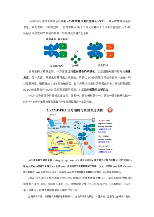 细胞生物学简答题整理(共18页)