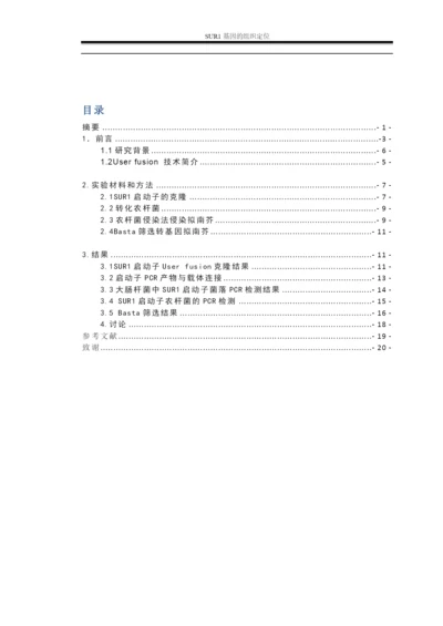 毕业论文—SUR1基因的组织定位.docx