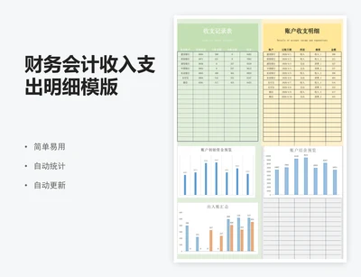 财务会计收入支出明细模版