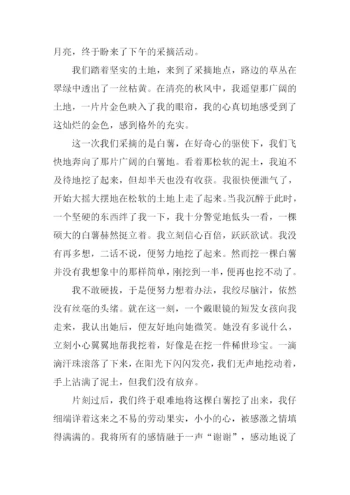 采撷作文00.docx