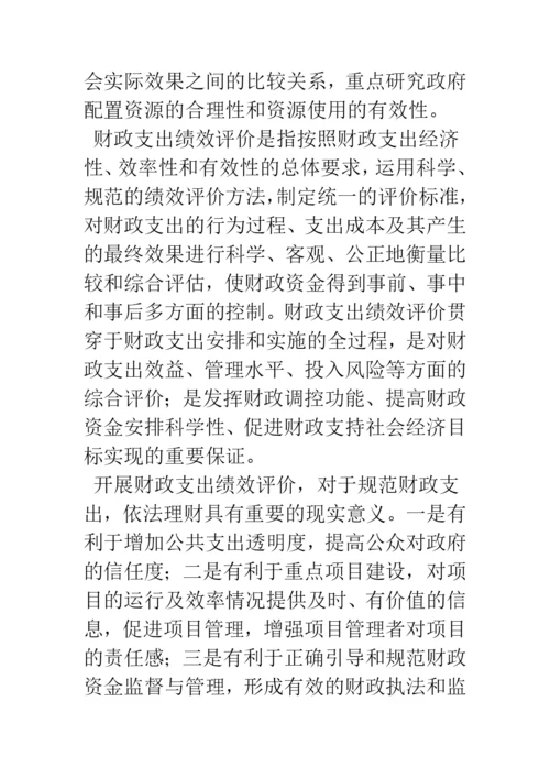 浅谈政府财政支出绩效评价.docx