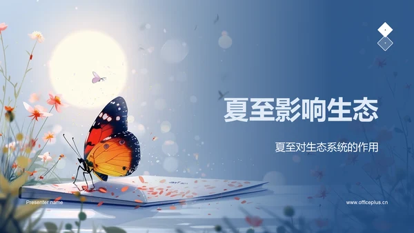 夏至影响生态PPT模板