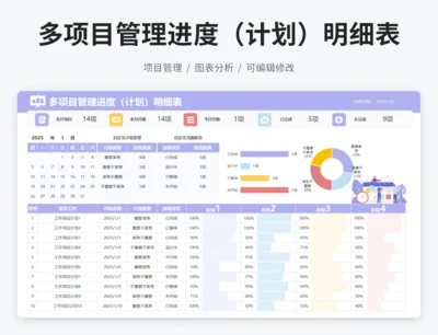 多项目管理进度（计划）明细表