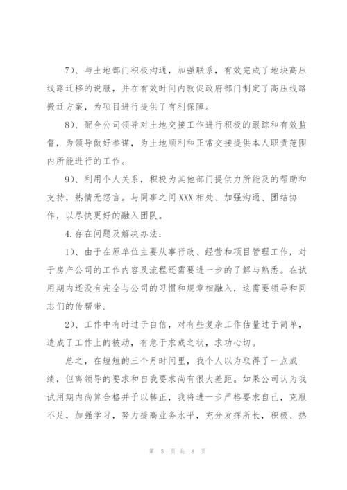 业务员试用期个人工作总结三篇.docx