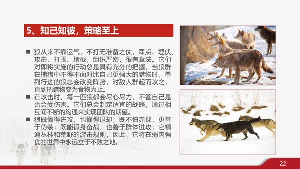 狼性文化企业培训PPT模板