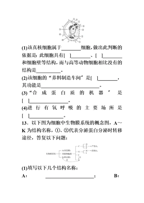 2022届高考生物加练半小时-第9练准确获取信息分析细胞器的结构与功能