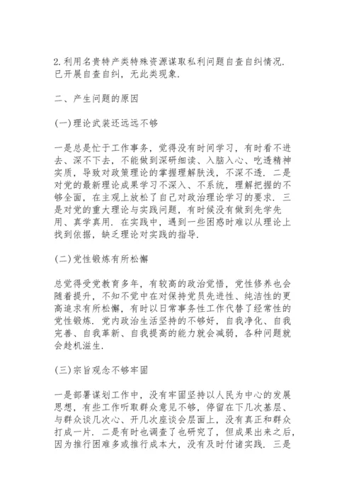 乡镇班子个人民主生活会发言材料.docx