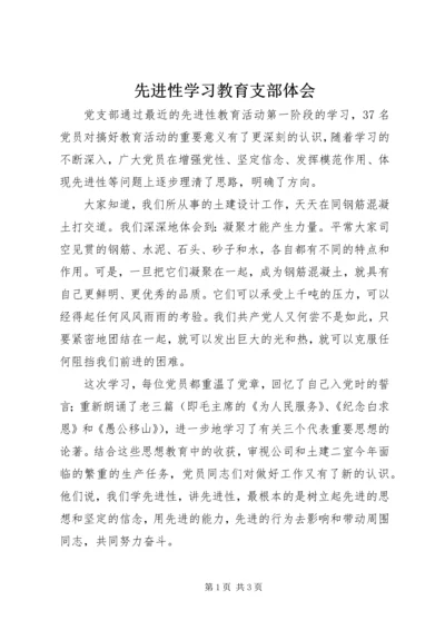 先进性学习教育支部体会.docx