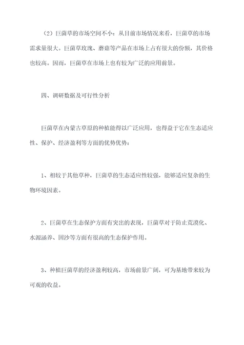 巨菌草种植调研报告