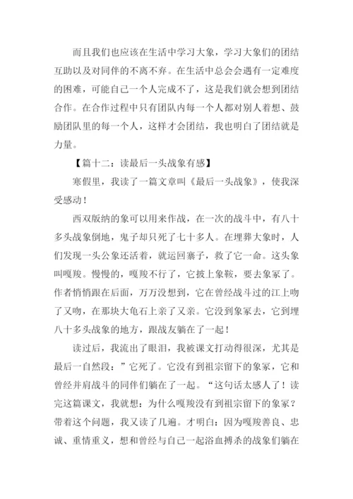 读最后一头战象有感350字.docx