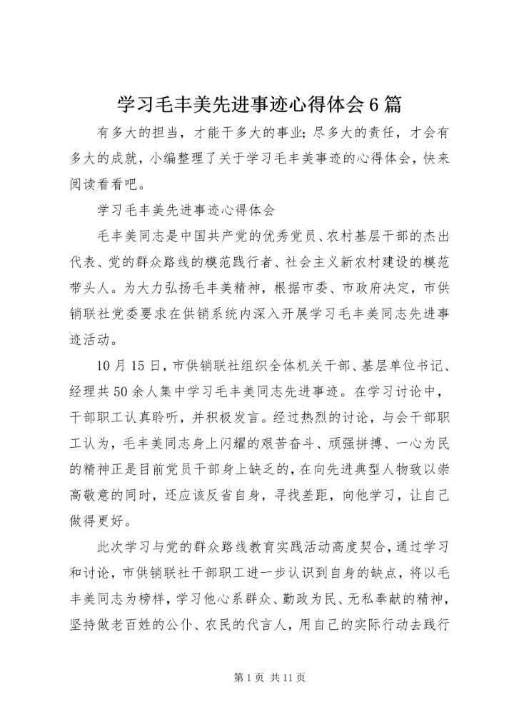学习毛丰美先进事迹心得体会6篇.docx