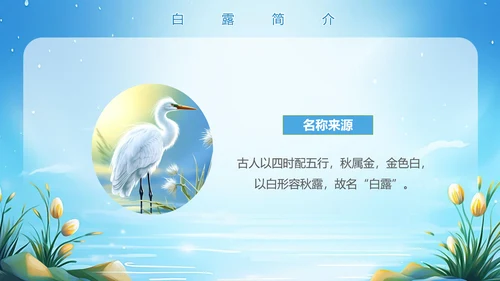 美丽的梦幻传统节气白露PPT模板