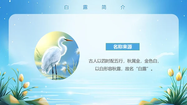 美丽的梦幻传统节气白露PPT模板