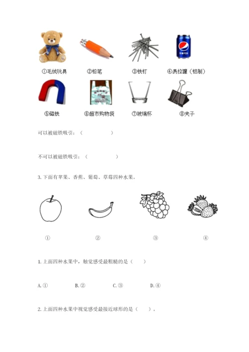 教科版小学科学二年级下册 期末测试卷【黄金题型】.docx