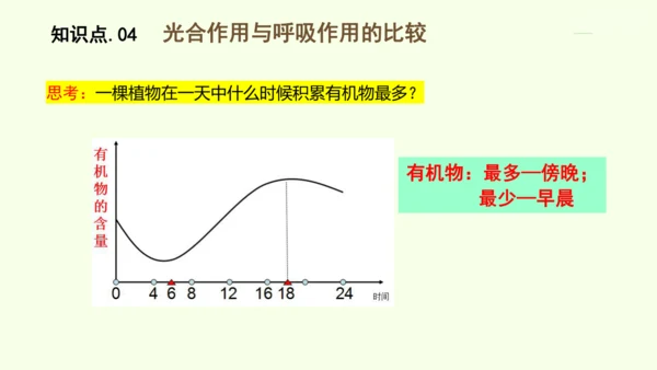 3.2.3呼吸作用-七年级生物下学期同步精品课件（2024人教版）(共24张PPT)