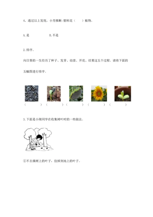 教科版科学一年级上册第一单元《植物》测试卷及参考答案（新）.docx