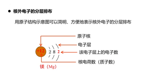 3.2原子结构课件(共48张PPT)----2024--2025学年九年级化学人教版（2024）上册