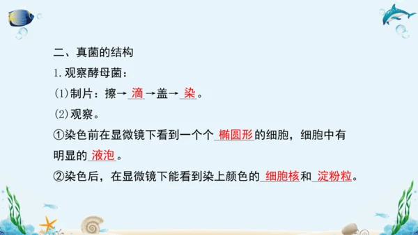 人教版八年级生物上册5.4《细菌和真菌》复习课件（含31张ppt）